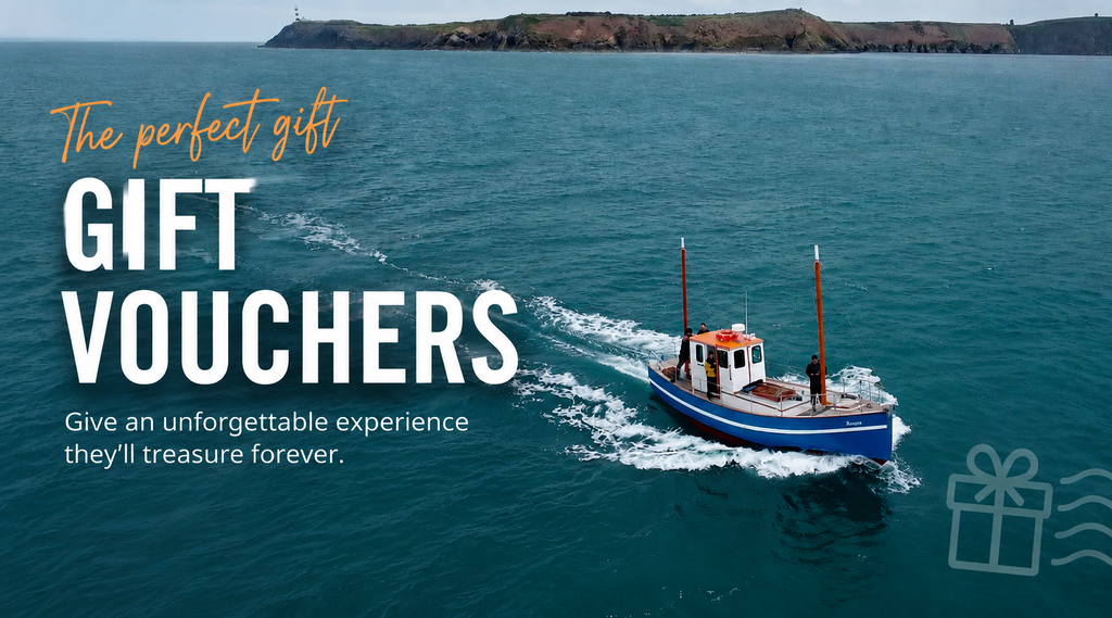 Dipps Trips Gift Voucher